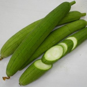 Cây mướp hương