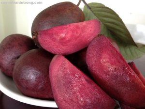 Quả của cây ổi tím