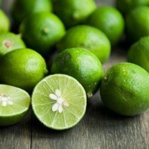 Hình ảnh: cây chanh bắc