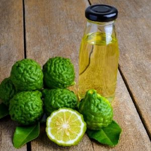 Cây chanh thái cao 1m