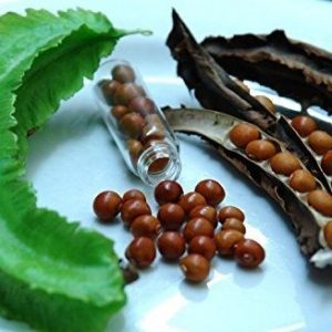 Hình ảnh: Hoa, quả, hạt cây đậu rồng