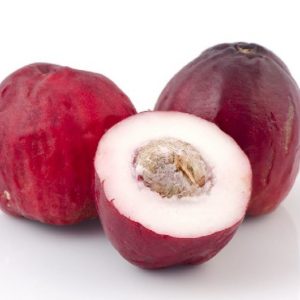 Mận hoa đỏ có quả ăn rất ngon