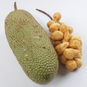 Hình ảnh: cây mít tố nữ