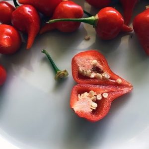 Hình ảnh: cây ớt hình trái tim