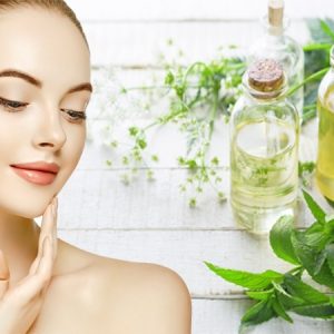 Cây bạc hà tinh dầu peppermint