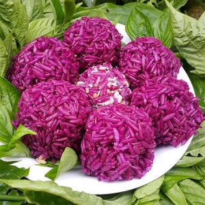 Cây lá cẩm nấu xôi, và làm thuốc trị đau lưng