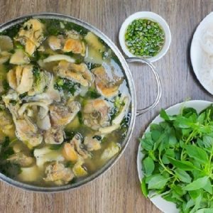 Cây lá é nẩu lẩu gà