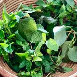 Húng thơm làm gia vị