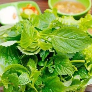 rau kinh giới