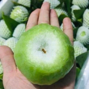 quả mận xanh tam hoa