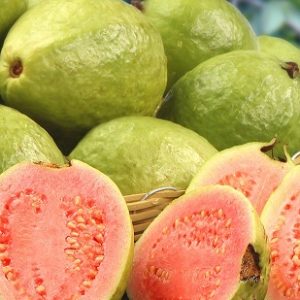 Ổi xá lị ruột đỏ