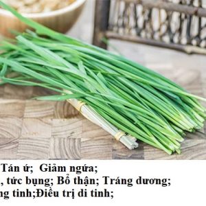 cây hẹ trồng chậu