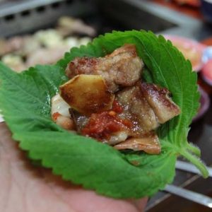 cây tía tô nhật bản