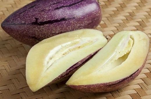hình ảnh: cây dưa Pepino tím