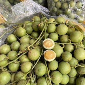 hình ảnh: cây Dâu Da xanh