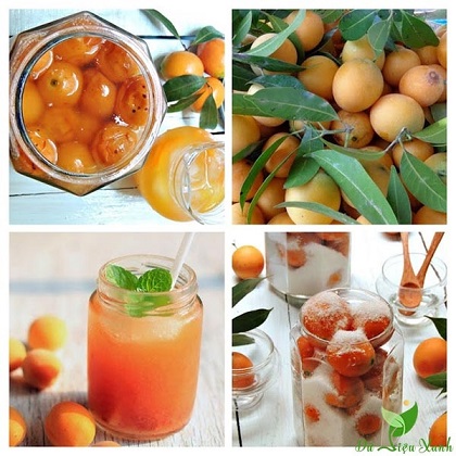 Hình ảnh: cây Thanh Trà