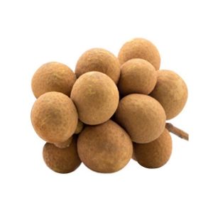 cây nhãn trưởng thành cao 2,5m