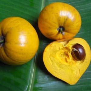 Hình ảnh: Cây Lê Ki Ma