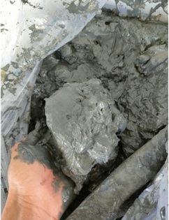 bùn nhão trồng hoa sen hoa súng