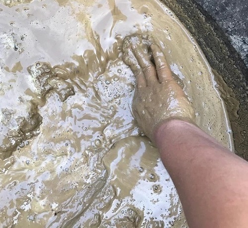 bùn nhão trồng hoa sen hoa súng