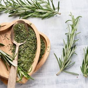 cây hương thảo trồng chậu