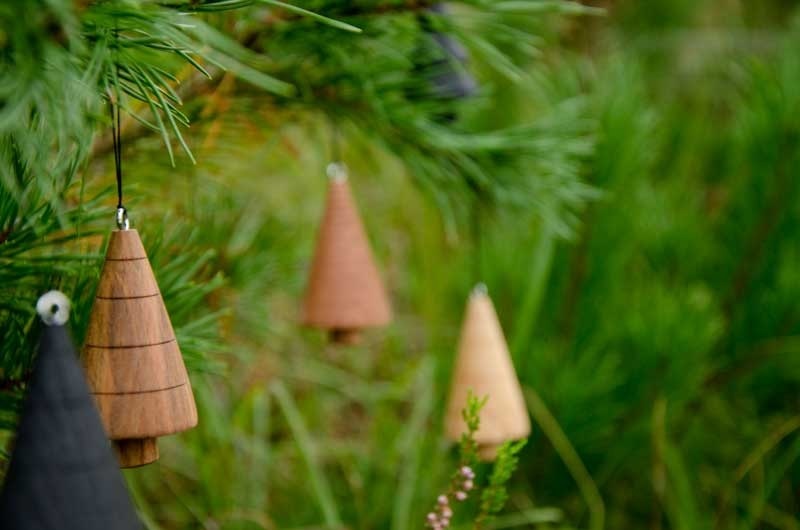 Ý nghĩa của cây sơn tùng noel