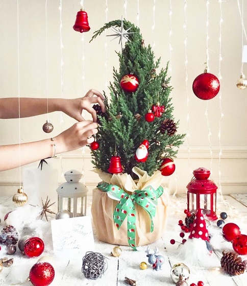 Ý nghĩa của cây sơn tùng noel