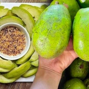 Cây cóc cồ (cóc ta) cổ thụ