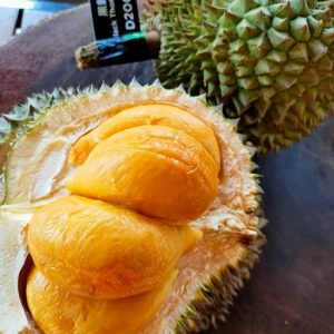 Cây sầu riêng giống Black Thorn