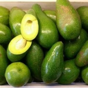 Cây bơ lùn siêu trái