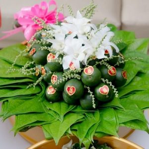 Cây Cau Ăn Trầu (cau ta)