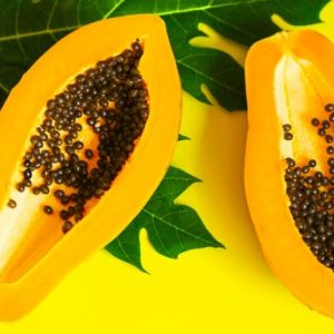 Cây đu đủ giống ruột vàng