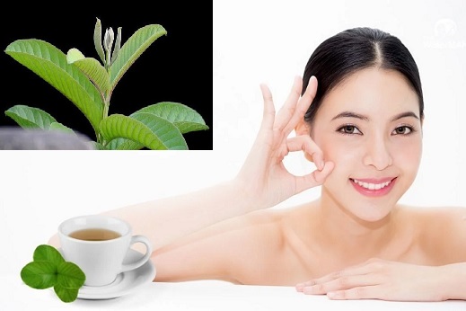 Công Dụng Của Lá Ổi