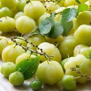 Cây Chùm Ruột Trái Ngọt