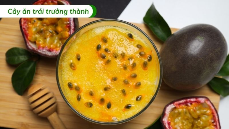 công dụng trái chanh dây