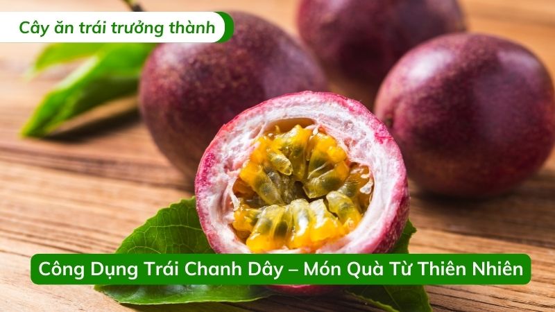 công dụng trái chanh dây