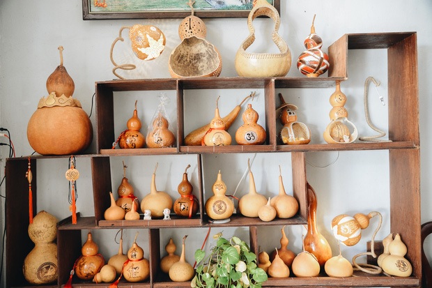 Bí Quyết Chăm Sóc Cây Bầu Hồ Lô Ra Trái Đều Đặn, Năng Suất Cao