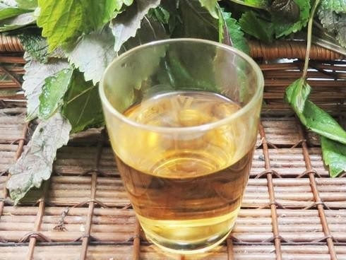 công dụng cây tía tô