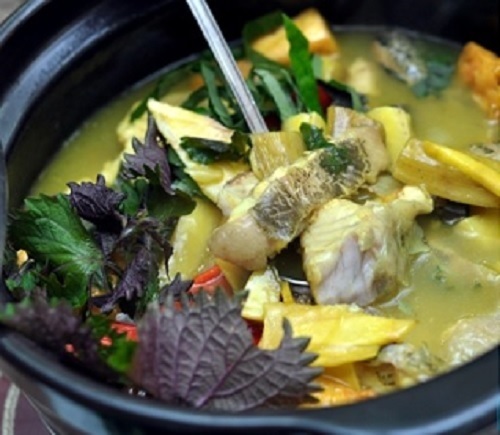 công dụng cây tía tô