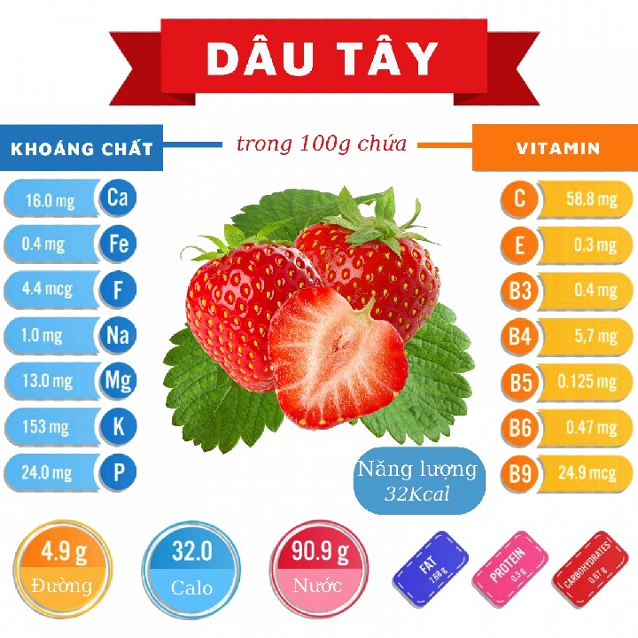 Dâu Tây Tự Trồng – Sạch, Ngọt, Đẹp Da, Tốt Cho Sức Khỏe Cả Nhà