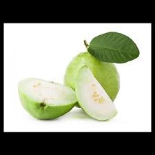 Ổi Lê – Giống Ổi Trái To, Giòn Ngọt, Dễ Trồng, Cực Hút Khách Hiện Nay