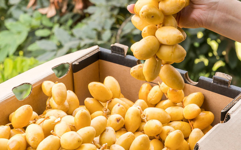 công dụng của trái chà là