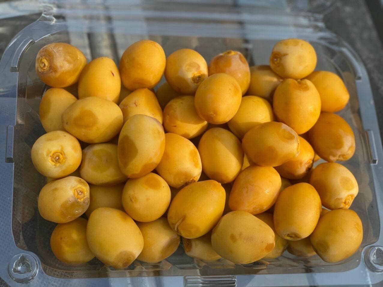 công dụng của trái chà là