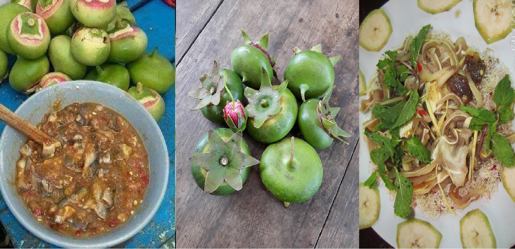 công dụng của trái bần ổi